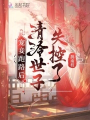 书名:宠妾